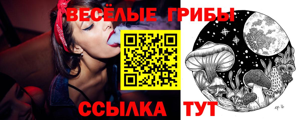 Галлюциногенные грибы MAGIC MUSHROOMS Бахчисарай