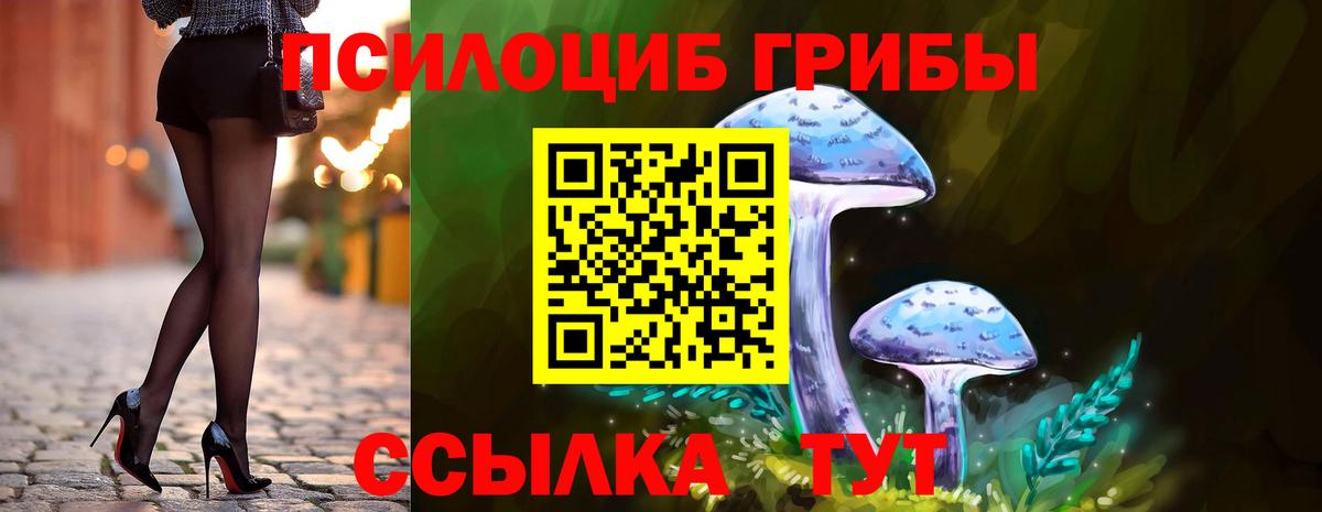 Галлюциногенные грибы Psilocybe  Вход с VPN  Бахчисарай 